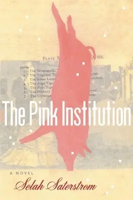 Selah Saterstrom - The Pink Institution, Häftad. Tillgänglighet: Lägg i varukorg