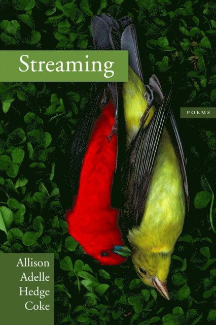 Allison Adelle Hedge Coke - Streaming, E-bok