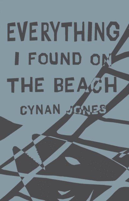 Cynan Jones - Everything I Found on the Beach, E-bok