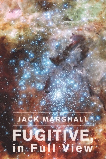 Jack Marshall - Fugitive, in Full View, E-bok