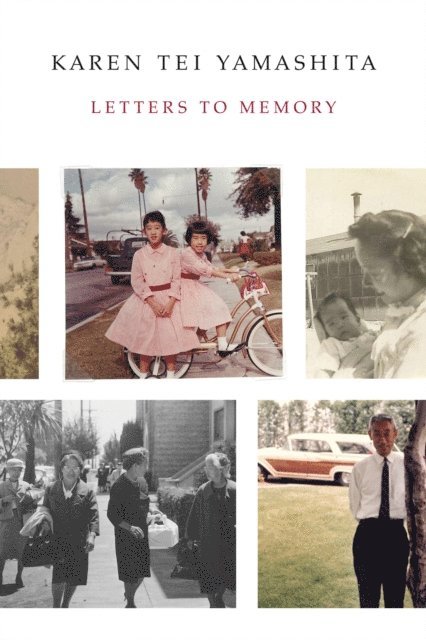 Karen Tei Yamashita - Letters to Memory, E-bok
