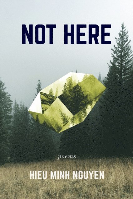 Hieu Nguyen - Not Here, E-bok