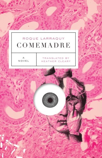 Roque Larraquy - Comemadre, E-bok