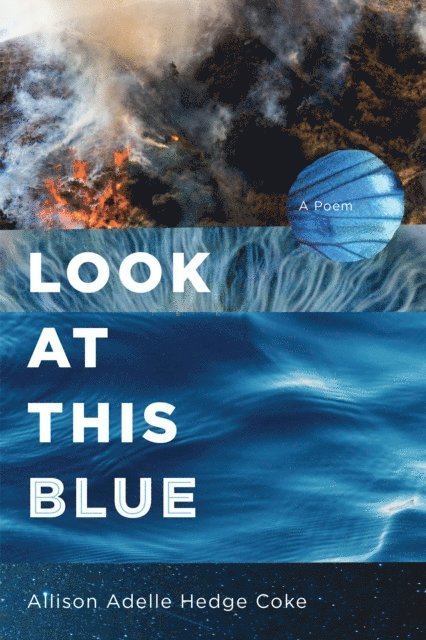 Allison Adelle Hedge Coke - Look at This Blue, E-bok