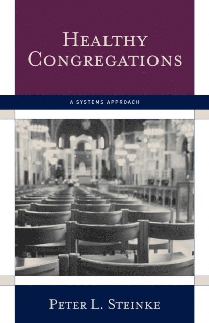 Peter L. Steinke - Healthy Congregations, E-bok. Tillgänglighet: Lägg i varukorg