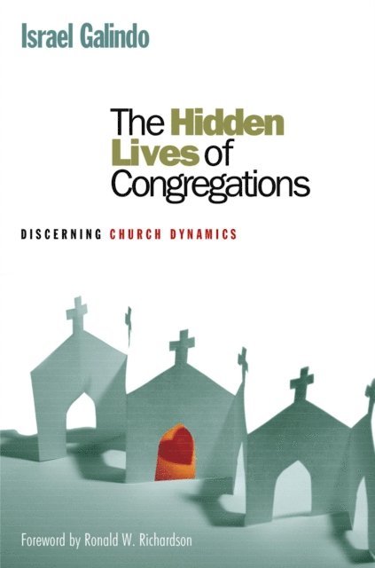 Israel Galindo - Hidden Lives of Congregations, E-bok