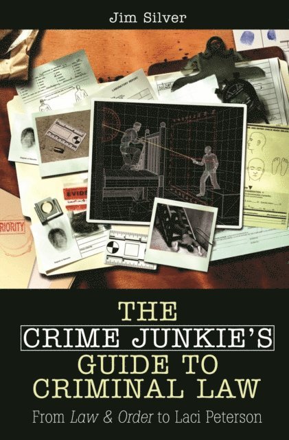 Jim Silver - Crime Junkie's Guide to Criminal Law, E-bok