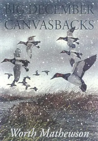 Worth Mathewson - Big December Canvasbacks, Revised, Häftad. Tillgänglighet: Lägg i varukorg