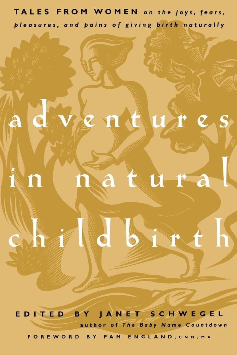 Janet Schwegel, Pam England, Janet Schwegel, Pam England - Adventures in Natural Childbirth, Häftad