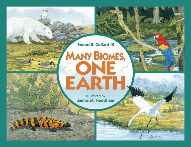 Sneed B. Collard III - Many Biomes, One Earth, Häftad