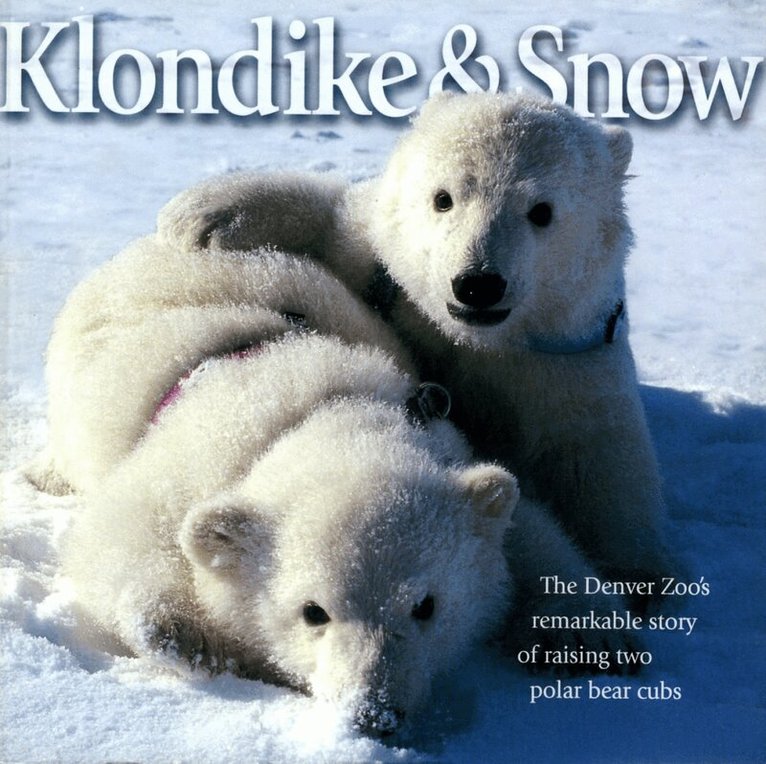 David E. Kenny, Cynthia Bickel, Dennis Roling - Klondike & Snow, Häftad