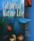 California Marine Life