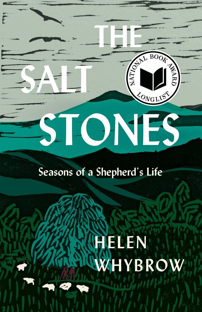 Helen Whybrow - Salt Stones, Inbunden