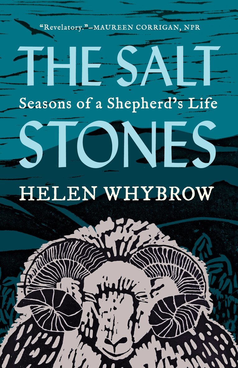 Helen Whybrow - Salt Stones, Häftad