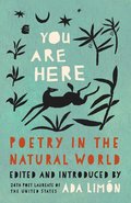 You Are Here