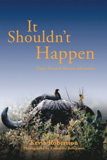 Kevin Robertson - It Shouldn't Happen, E-bok