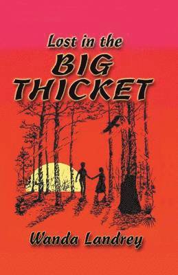Wanda A. Landrey - Lost in the Big Thicket, Häftad