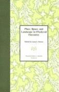 Place, Space, and Landscape in Medieval Narrative