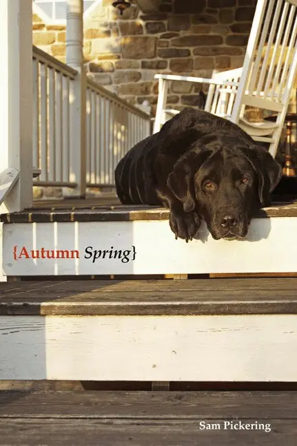 Sam Pickering - Autumn Spring, Häftad. Tillgänglighet: Tillfälligt slut
