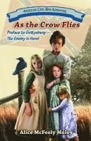 Alice McFeely Meloy - As the Crow Flies: Preface to Gettysburg: The Enemy Is Here!, Häftad