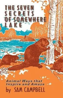 Sam Campbell - Seven Secrets of Somewhere Lake, Häftad. Tillgänglighet: Lägg i varukorg
