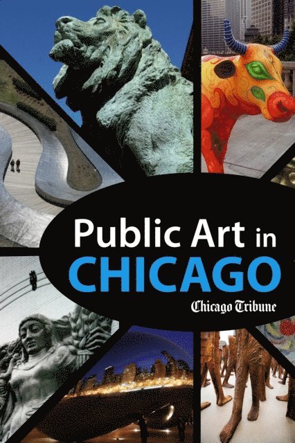 Chicago Tribune Staff - Public Art in Chicago, E-bok