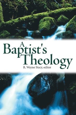 William L Hendricks, T Furman Hewitt, Molly T Marshall - Baptist's Theology, Häftad