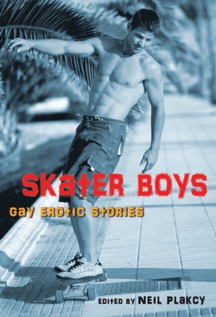 Neil Plakcy - Skater Boys, E-bok