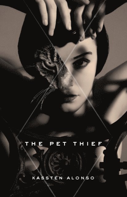 Kassten Alonso - Pet Thief, E-bok
