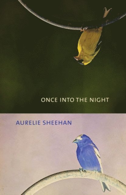 Aurelie Sheehan - Once into the Night, E-bok