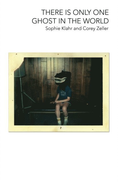 Corey Zeller, Sophie Klahr - There Is Only One Ghost in the World, E-bok