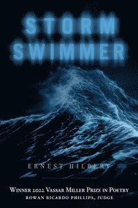 Storm Swimmer
