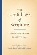 The Usefulness of Scripture