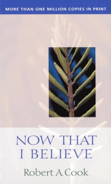 Robert A Cook - Now That I Believe, E-bok
