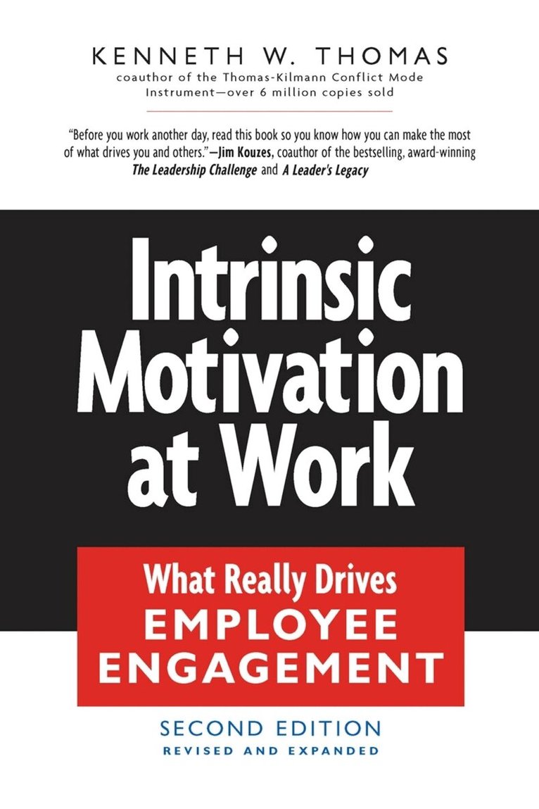 Kenneth Thomas - Intrinsic Motivation at Work, Häftad