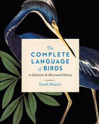 Randi Minetor - Complete Language of Birds, Inbunden