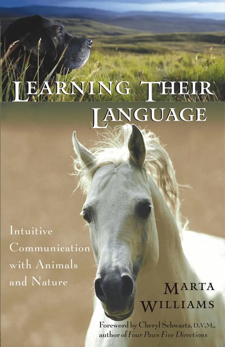 Marta Williams - Learning Their Language, Häftad. Tillgänglighet: Tillfälligt slut