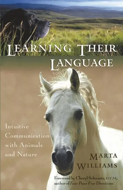 Marta Williams - Learning Their Language, E-bok. Tillgänglighet: Lägg i varukorg