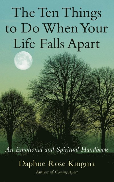 Daphne Rose Kingma - Ten Things to Do When Your Life Falls Apart, E-bok
