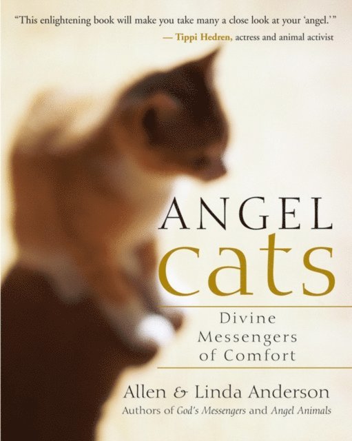 Linda Anderson, Allen Anderson - Angel Cats, E-bok