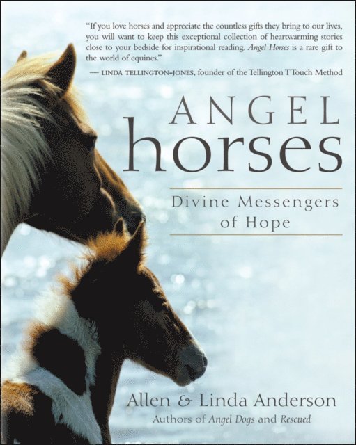 Linda Anderson, Allen Anderson - Angel Horses, E-bok