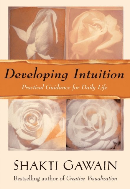 Shakti Gawain - Developing Intuition, E-bok