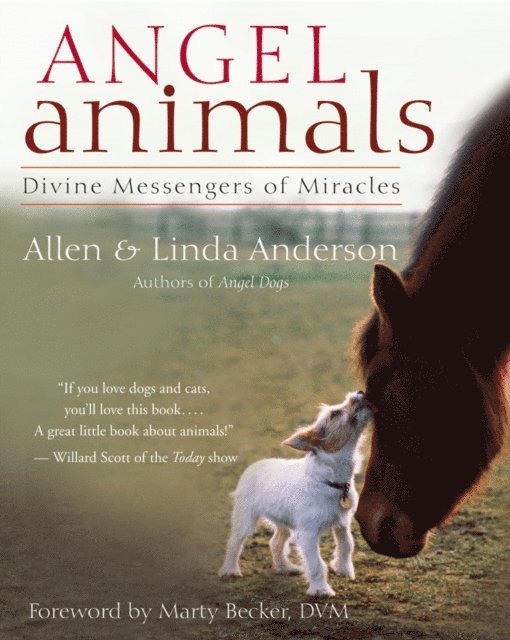 Linda Anderson, Allen Anderson - Angel Animals, E-bok