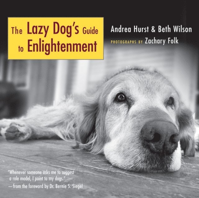 Beth Wilson - Lazy Dog's Guide to Enlightenment, E-bok