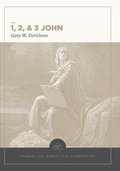 1, 2 & 3 John: Evangelical Exegetical Commentary