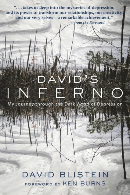 David Blistein - David's Inferno, E-bok. Tillgänglighet: Lägg i varukorg