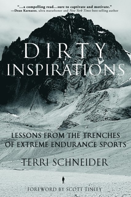 Terri Schneider - Dirty Inspirations, E-bok