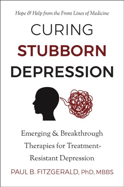 Paul Fitzgerald - Curing Stubborn Depression, E-bok