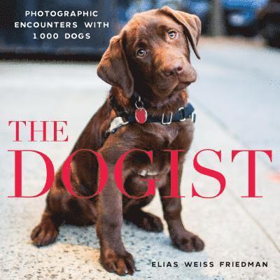 Elias Weiss Friedman - Dogist, Inbunden
