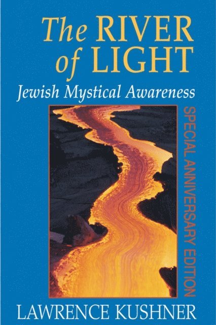 Rabbi Lawrence Kushner - River of Light, E-bok